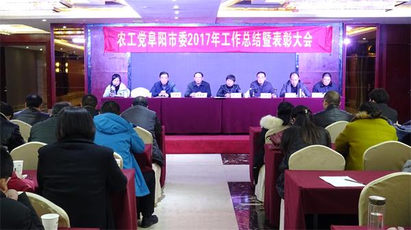 农工党召开2017年度工作总结.JPG