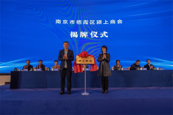 2023.03.09南京市栖霞区颍上商会成立.jpg